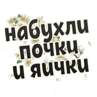 😎 набухли почки и яички telegram sticker
