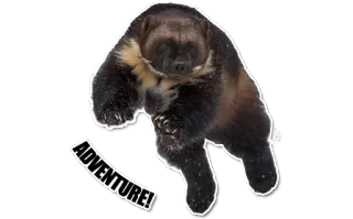 Wolverines telegram stickers