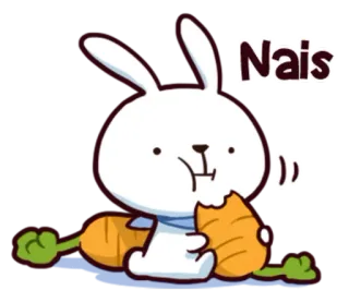 😙 Nais 兔子, 胡萝卜, 可爱, 吃, 动物, 小兔子 telegram sticker