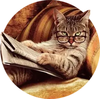 🤓 cat, glasses, newspaper, reading, animal, pet, domestic cat telegram sticker