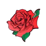 🌹