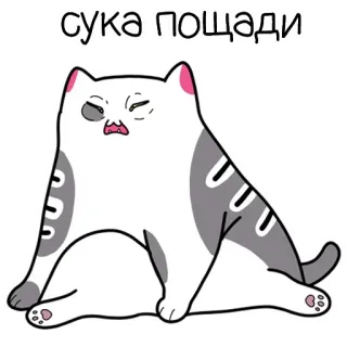 ‼️ сука пощади แมว, มีม, ตลก, สติกเกอร์, รัสเซีย, คำหยาบ telegram sticker