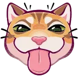 😛