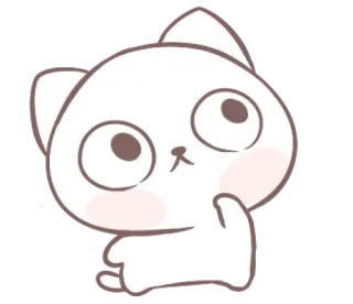 ❓ gato, fofo, desenho animado, animal, adesivo whatsapp sticker