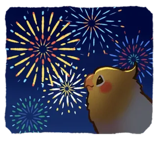 🎉 vẹt mào, chim, pháo hoa, lễ kỷ niệm, đêm, các vì sao telegram sticker