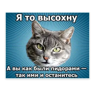 🤦‍♀️ Я то высохну
А вы как были пидорами —
так ими и останетесь gato, ofensivo, ruso, insultante, meme telegram sticker