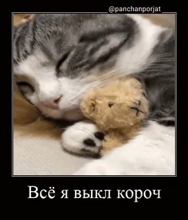 😴 Всё я выкл короч cat, teddy bear, sleep, animal, cute telegram sticker