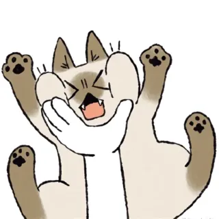 ☹️ cat, scared, animal, feline, cute telegram sticker