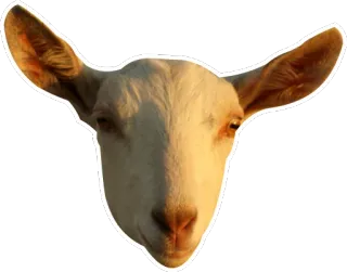 GoatRulez telegram stickers