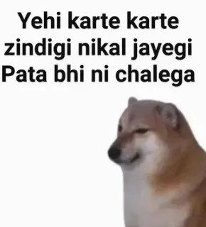 😂 Yehi karte karte
zindagi nikal jayegi
Pata bhi ni chalega собака, мем, хинди, смешной whatsapp sticker