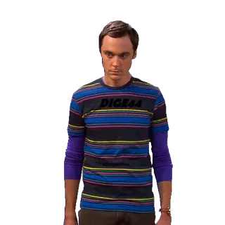 😤 Sheldon Cooper The Big Bang Theory DIGE44 serie tv, sitcom, nerd, scienziato, commedia telegram sticker