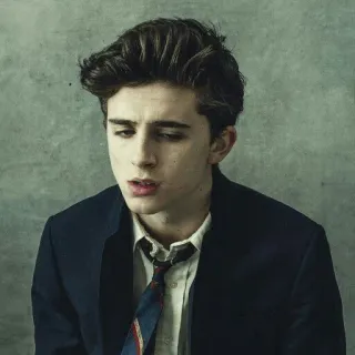 -Timothée Chalamet💕 @Timothee whatsapp stickers