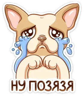 🙏 НУ ПОЗЯЗЯ cão, triste, chorando, filhote, implorando telegram sticker