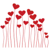 🌹