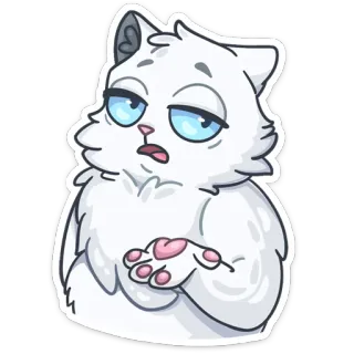 🤨 cat, animal, pet, sticker, white cat, cute, fluffy telegram sticker
