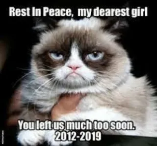 💔 Grumpy Cat Rest In Peace, my dearest girl
You left us much too soon.
2012-2019 猫, 暴躁猫, 表情包, RIP, 悲伤, 宠物 whatsapp sticker