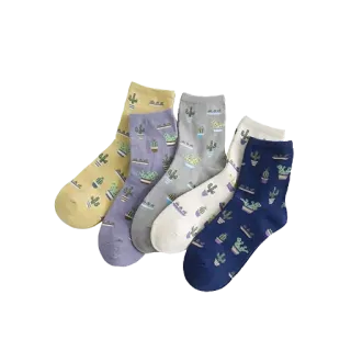🧦 양말, 선인장, 식물, 패션, 의류, 액세서리 telegram sticker