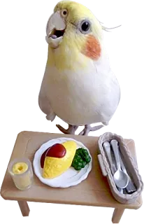 🍽 bird, cockatiel, food, omurice, miniature, table, dinner, cute telegram sticker