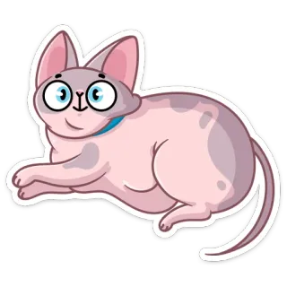 😳 cat, animal, cartoon, cute, pet, sphynx, kitten telegram sticker