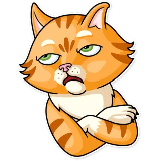 🙄 แมว, สีส้ม, รำคาญ, ขี้บ่น, ไม่เห็นด้วย, ตระกูลแมว, สัตว์ whatsapp sticker