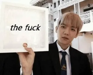 🖕 the fuck meme, kpop, funny, humor, expression, annoyed telegram sticker