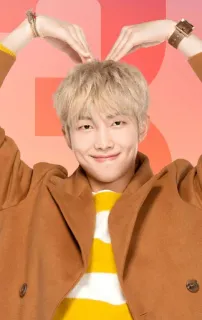 🙆‍♂ RM 人物, kpop, 歌手, 音楽, bts, アイドル, 男性 telegram sticker
