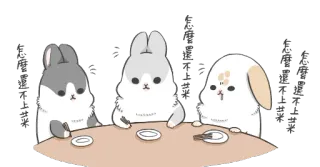 😒 bunny, rabbit, cute, animal, table, cartoon telegram sticker