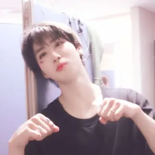 🐿 whatsapp sticker