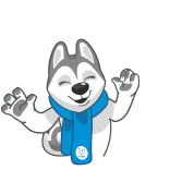 🕺 husky, chó, khăn quàng cổ, mùa đông, hoạt hình, động vật telegram sticker
