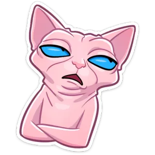 😒 кот, сфинкс, питомец, животное, мем, смешно, саркастичный telegram sticker