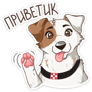 👋 ПРИВЕТИК สุนัข, ทักทาย, สัตว์, การ์ตูน, น่ารัก, โบกมือ, เป็นมิตร telegram sticker