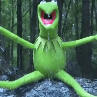 😱 Kermit the Frog Kermit, grenouille, marionnette, vert, mème, Muppets telegram sticker