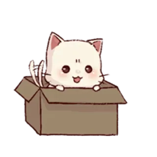 😳 kot, pudełko, słodki, kociak, zwierzę domowe, zwierzę telegram sticker