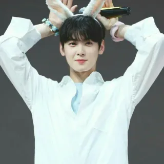 🤪 orecchie da coniglio, carino, coreano, idol, maschio telegram sticker