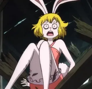 🥕 Carrot One Piece アニメ, うさぎ, ニンジン, ワンピース, アニメガール whatsapp sticker