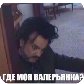 🫥 Philipp Kirkorov ГДЕ МОЯ ВАЛЕРЬЯНКА? telegram sticker