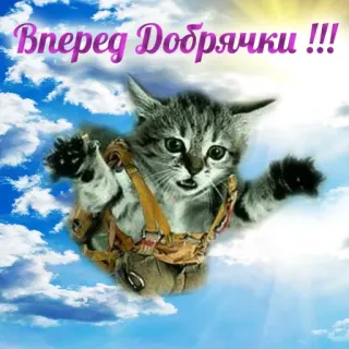 Больше стиков тут: @stikery4 telegram stickers