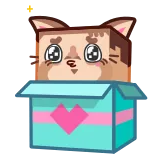 🥺 cat, box, heart, cute, animal, cartoon whatsapp sticker