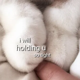 🖇 I will holding u so tight gato, patas, sosteniendo, lindo, cariñoso, animal whatsapp sticker