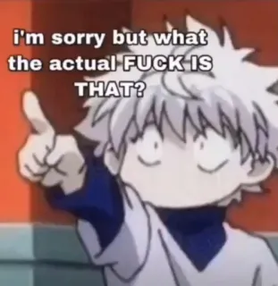 🧐 Killua I'm sorry but what the actual FUCK IS THAT? Killua, Anime, Hunter x Hunter, Drôle, Mème, Dessin animé whatsapp sticker