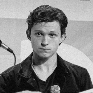 🔉 Tom Holland acteur, célébrité, portrait, homme, personne telegram sticker
