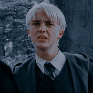 🐾 Draco Malfoy Harry Potter 드레이코 말포이, 해리 포터, 마법사, 마법, 슬리데린, 호그와트 telegram sticker