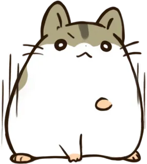 ‼️ cat, sticker, cute, animal telegram sticker