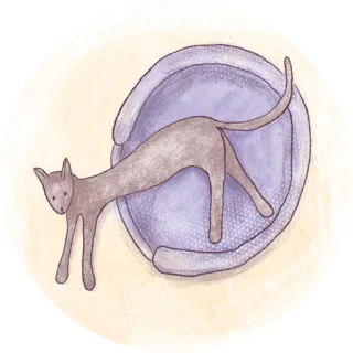🛌 cat, animal, pet, cartoon, chair, illustration, funny whatsapp sticker