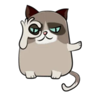 👌 кот, ок, мем, смешно, стикер telegram sticker