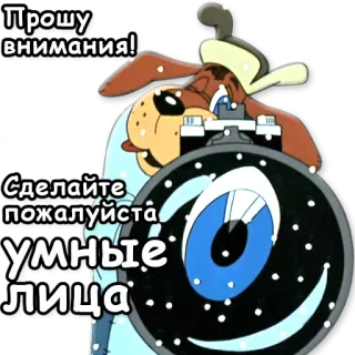 📷 Прошу внимания! Сделайте пожалуйста умные лица cartoon, dog, funny, animals, expressions whatsapp sticker