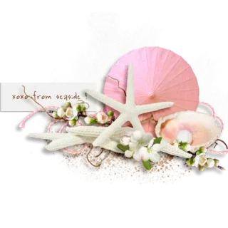 🐚 xoxo from seaside ชายหาด, เปลือกหอย, ปลาดาว, ฤดูร้อน, ทะเล, ชายทะเล, ดอกไม้ telegram sticker