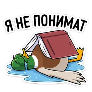 🤯 Я НЕ ПОНИМАТ pato, livro, cansado, confuso, russo, animal telegram sticker
