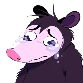 😢 opossum, sad, crying, cartoon, animal, tears, cute whatsapp sticker