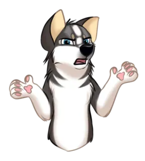 😒 Husky, Furry, Cachorro, Confuso, Animal, Meme telegram sticker